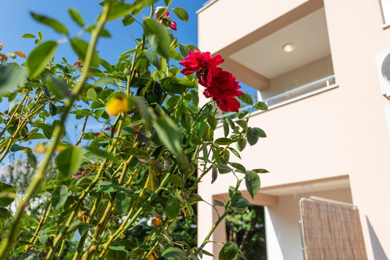 Apartments Crnekovic V باشْكا المظهر الخارجي الصورة